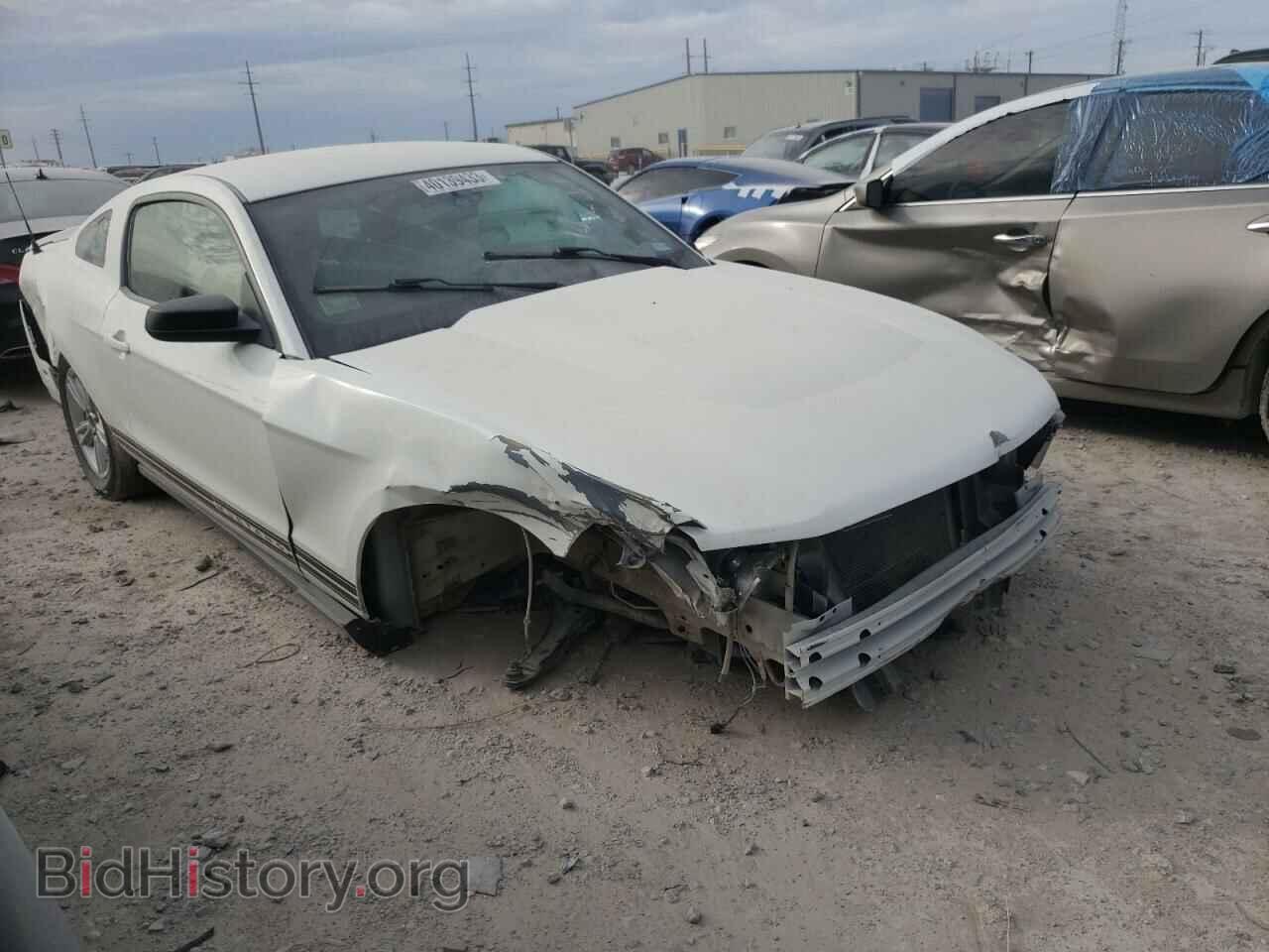 2011 FORD MUSTANG - VIN: 1ZVBP8AM5B5117130 - Фото 4