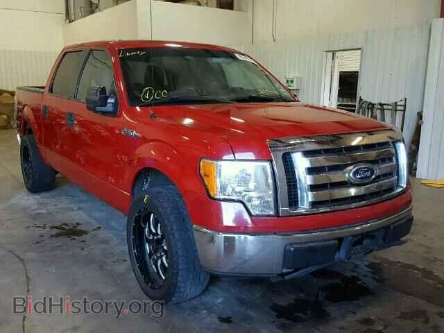 Фотография 1FTEW1C88AFA87401 - FORD F150 2010