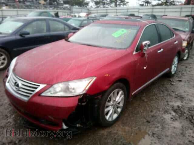2011 LEXUS ES350 - VIN: JTHBK1EG4B2465045 - Фото 2