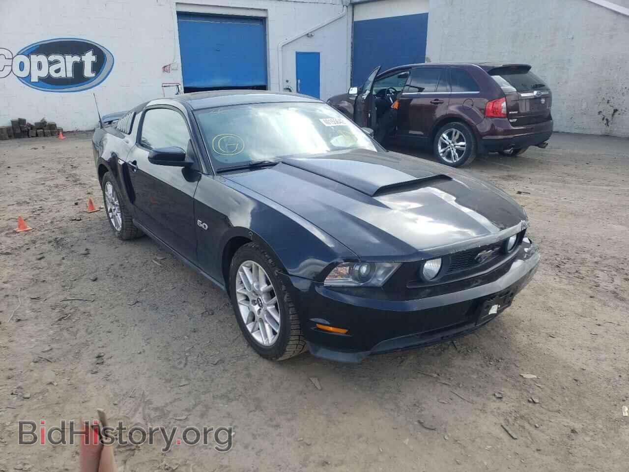 Photo 1ZVBP8CF2C5236060 - FORD MUSTANG 2012