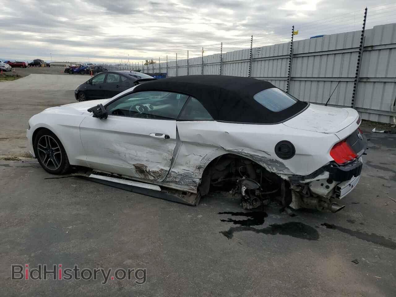 2019 FORD ALL Models - VIN: 1FATP8UH2K5161646 - Photo 2