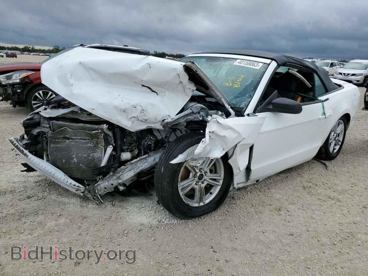 Фотография 1ZVBP8EM3E5299750 - FORD MUSTANG 2014