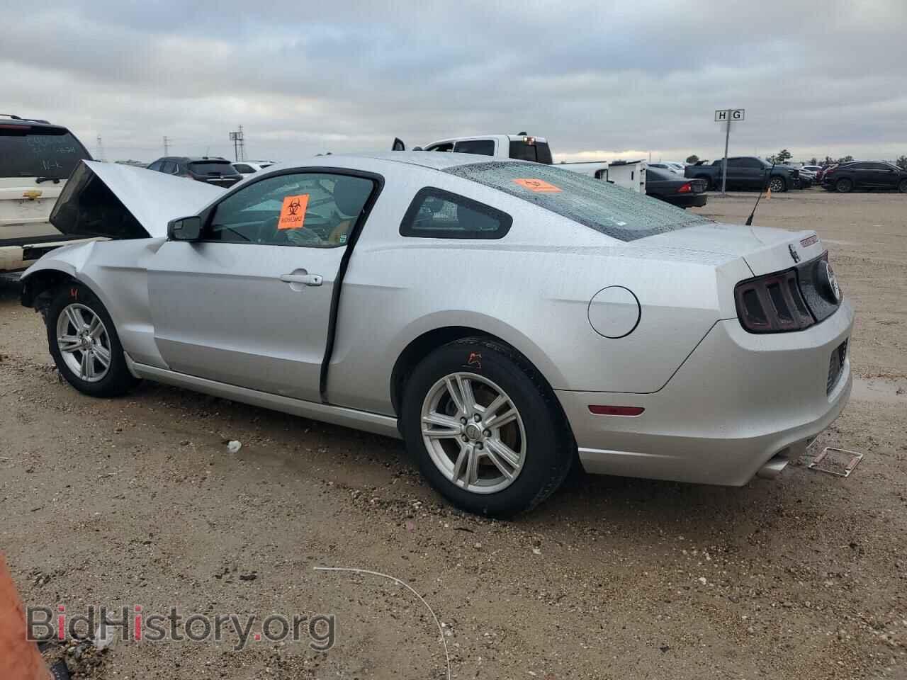 2014 FORD ALL Models - VIN: 1ZVBP8AM4E5219328 - Фото 2