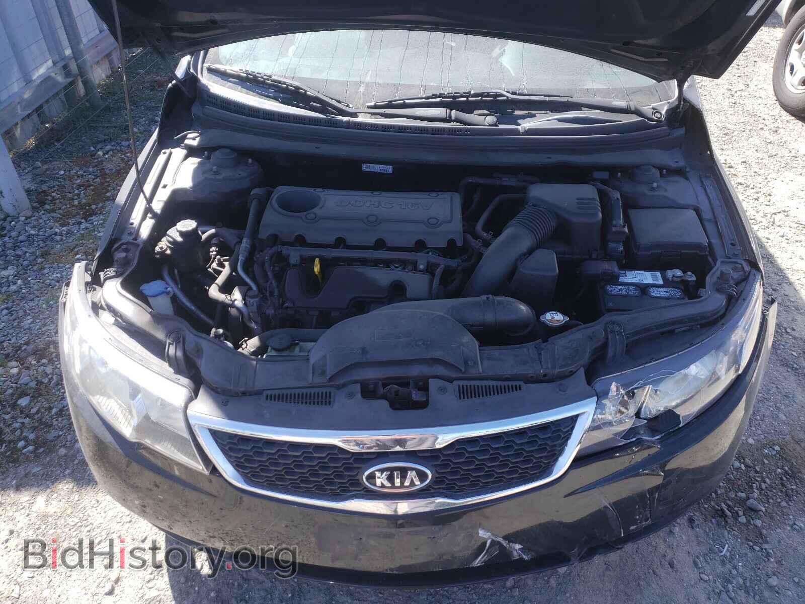 2013 KIA FORTE - VIN: KNAFT4A20D5708411 - Фото 7