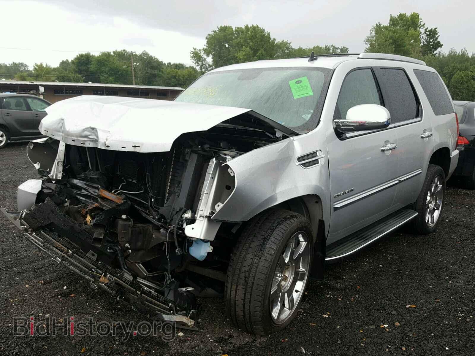 2011 CADILLAC ESCALADE - VIN: 1GYS4BEF2BR280406 - Фото 2
