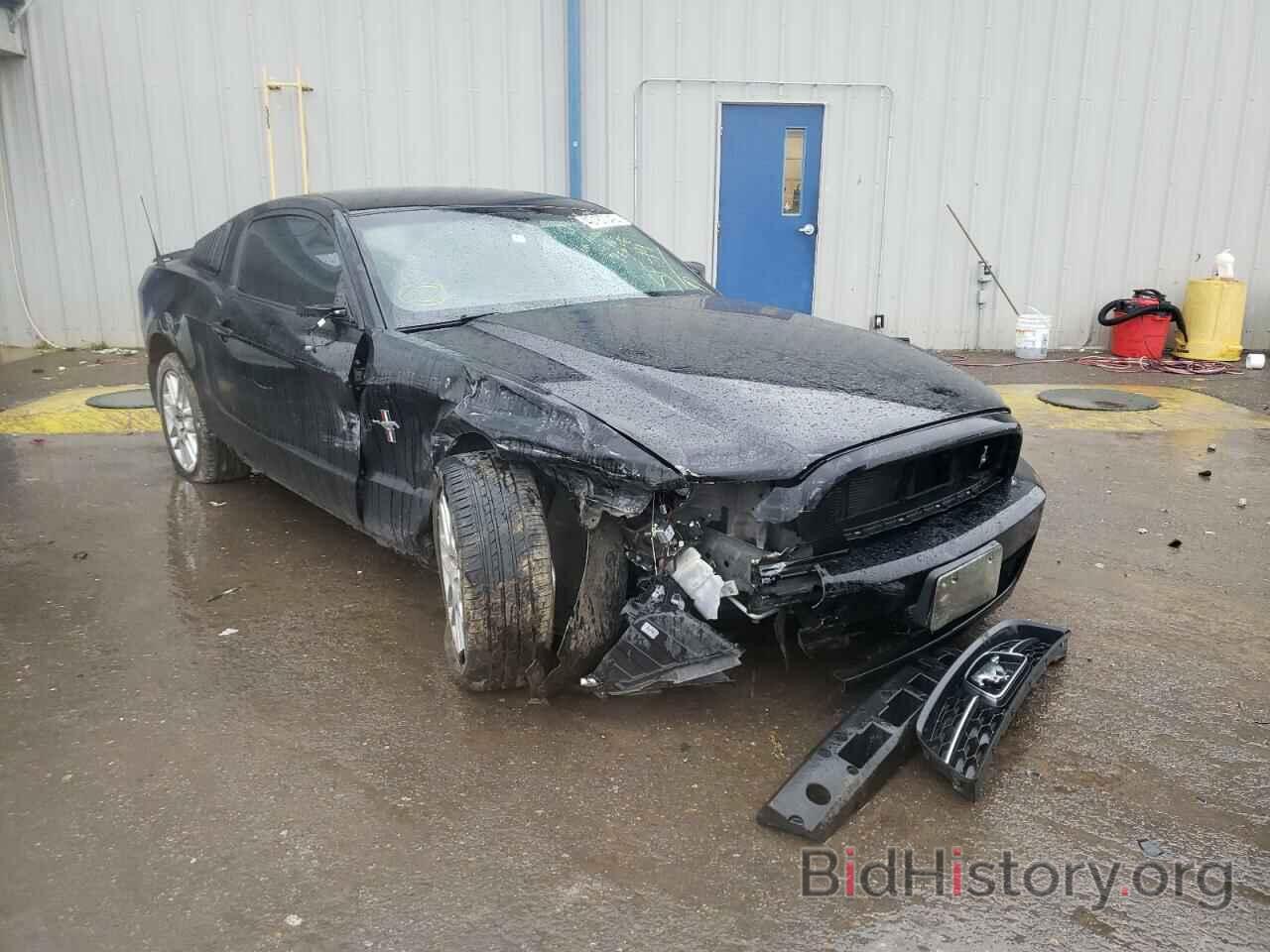 Photo 1ZVBP8AM4E5253530 - FORD MUSTANG 2014