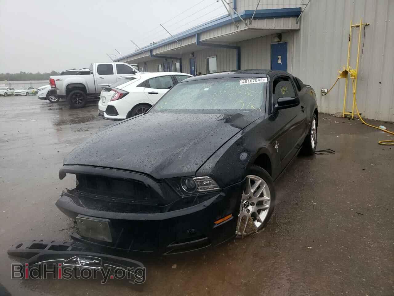2014 FORD MUSTANG - VIN: 1ZVBP8AM4E5253530 - Фото 2