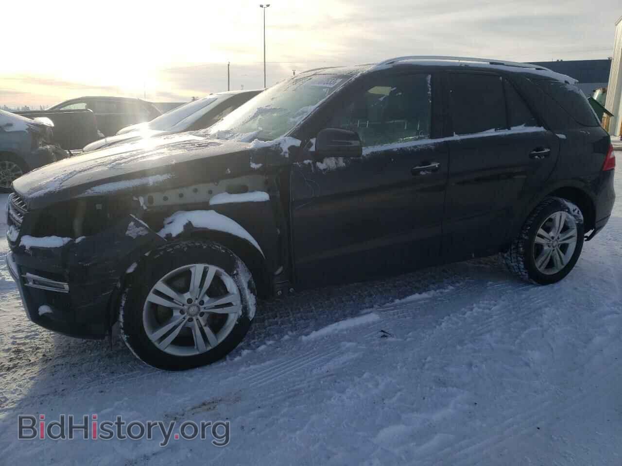 Photo 4JGDA2EB1CA044250 - MERCEDES-BENZ M-CLASS 2012