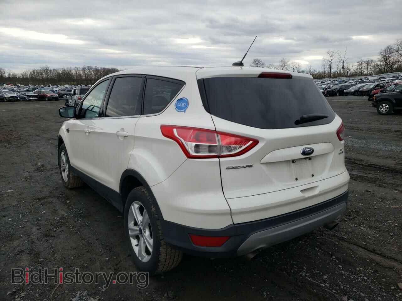 2014 FORD ESCAPE - VIN: 1FMCU9GX4EUC89324 - Фото 3
