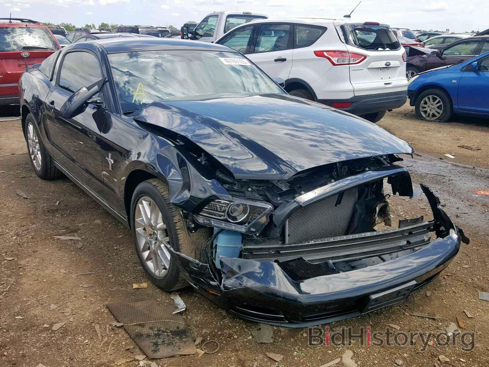 Photo 1ZVBP8AM8D5250967 - FORD MUSTANG 2013