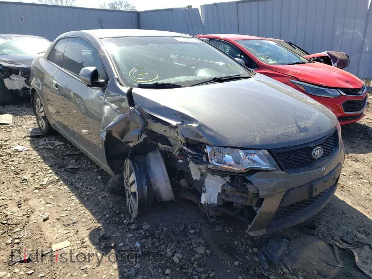 Фотография KNAFU6A21D5685181 - KIA FORTE 2013