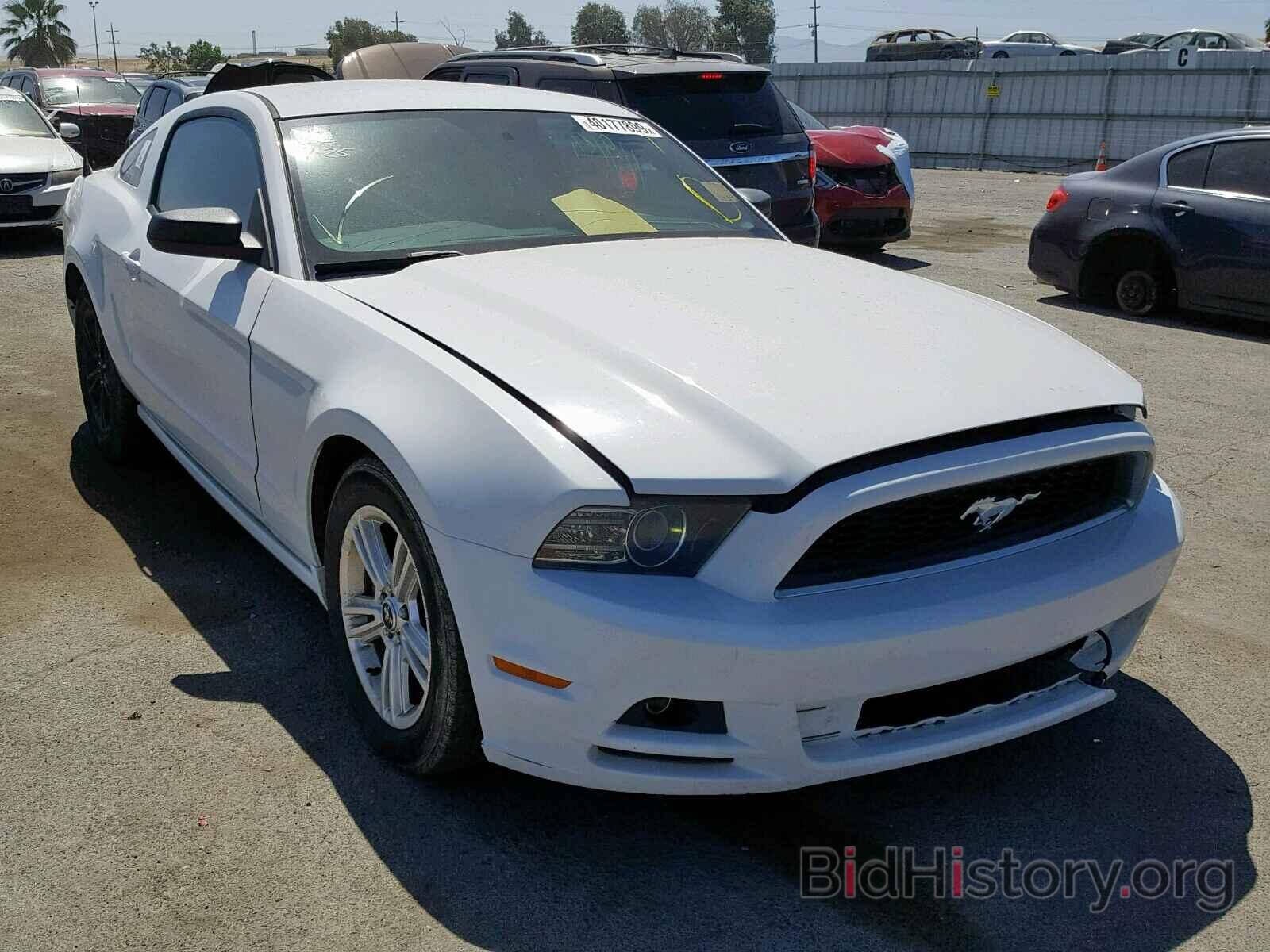 Photo 1ZVBP8AM0E5252830 - FORD MUSTANG 2014