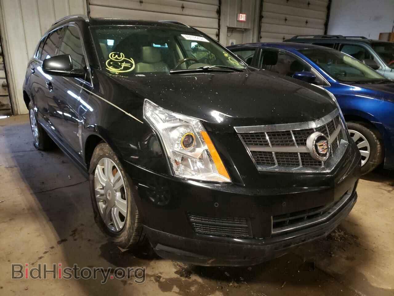 Фотография 3GYFNDEY2AS650552 - CADILLAC SRX 2010