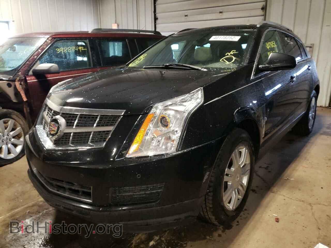 2010 CADILLAC SRX - VIN: 3GYFNDEY2AS650552 - Фото 2