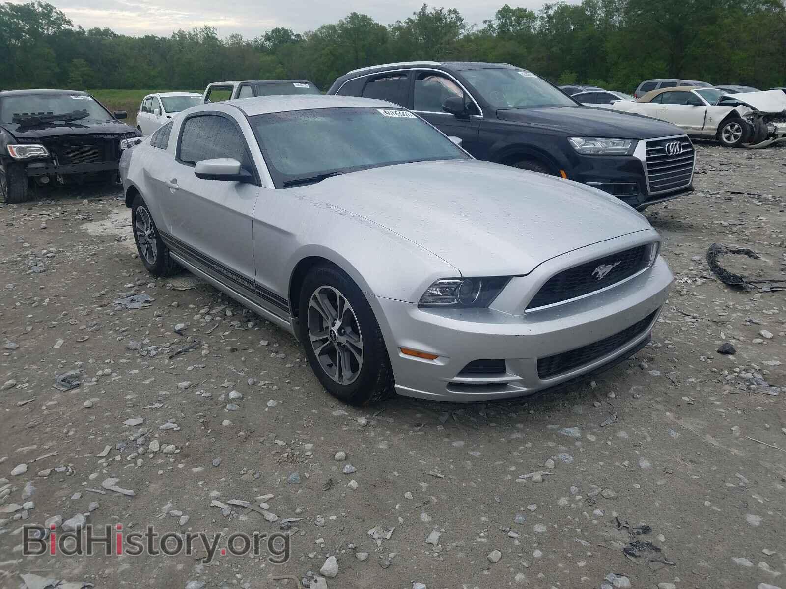 Photo 1ZVBP8AM4E5293011 - FORD MUSTANG 2014