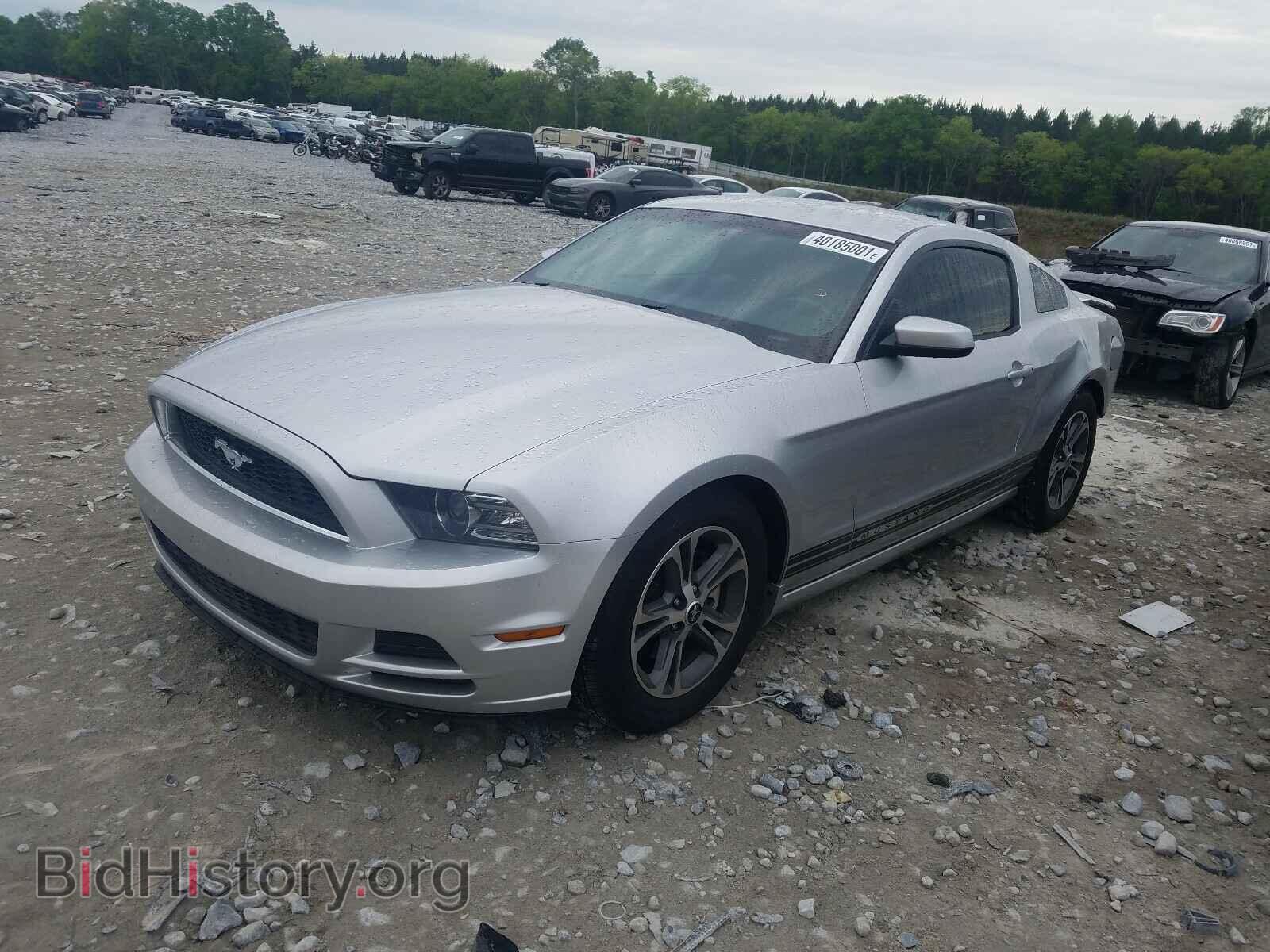 2014 FORD MUSTANG - VIN: 1ZVBP8AM4E5293011 - Фото 2