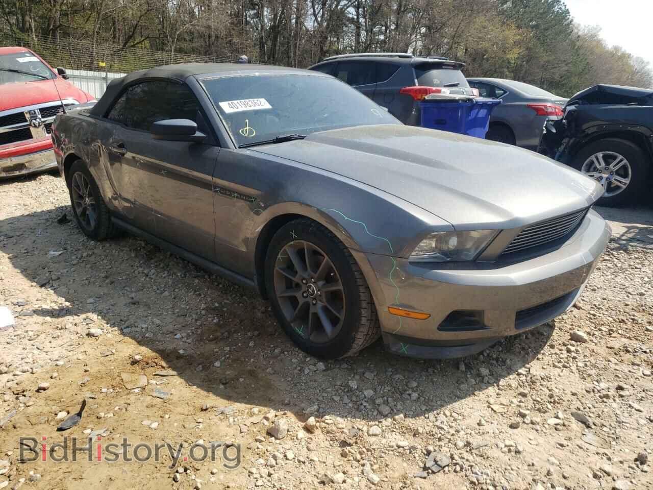 Фотография 1ZVBP8EM8C5284755 - FORD MUSTANG 2012