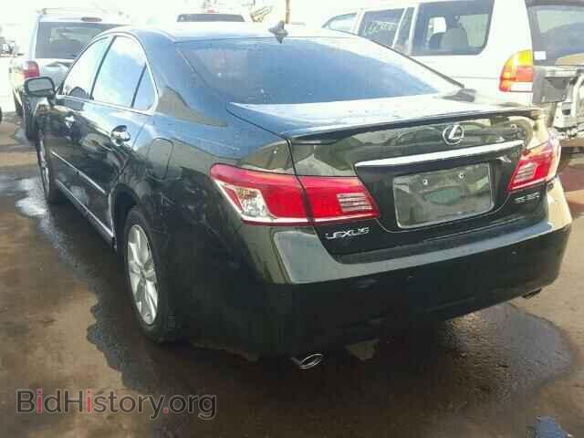 2010 LEXUS ES350 - VIN: JTHBK1EGXA2385716 - Фото 3