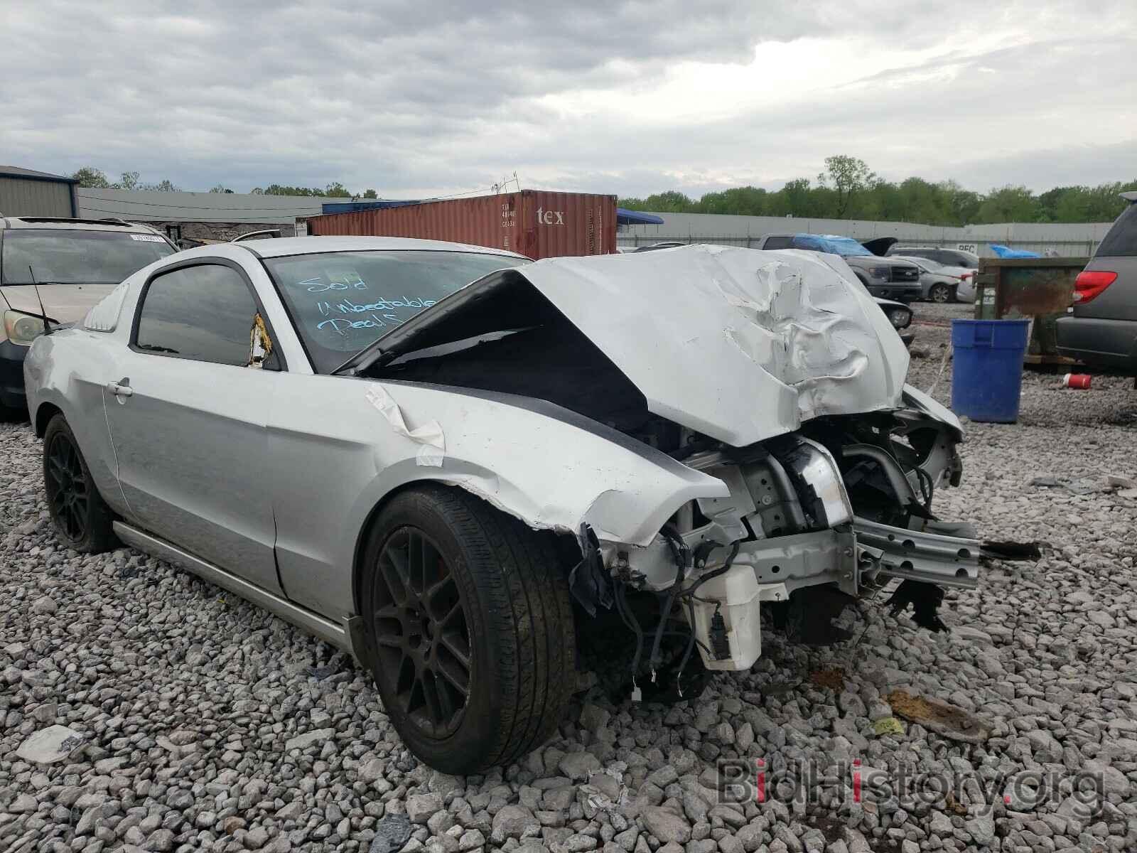 Photo 1ZVBP8AM1E5321041 - FORD MUSTANG 2014