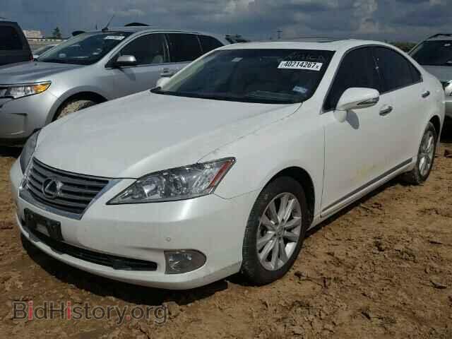 2012 LEXUS ES 350 - VIN: JTHBK1EG8C2480035 - Фото 2