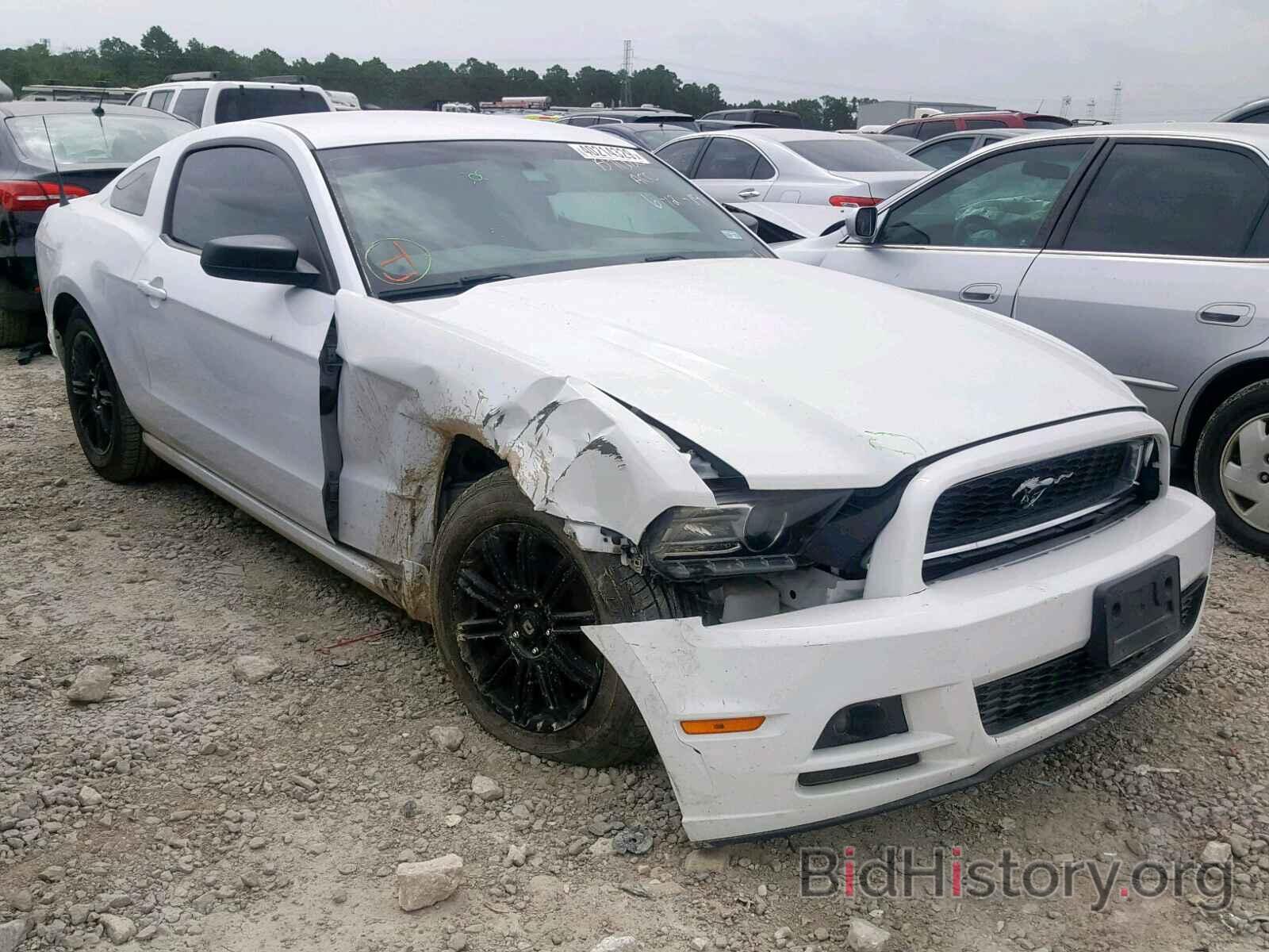Photo 1ZVBP8AM7E5284187 - FORD MUSTANG 2014