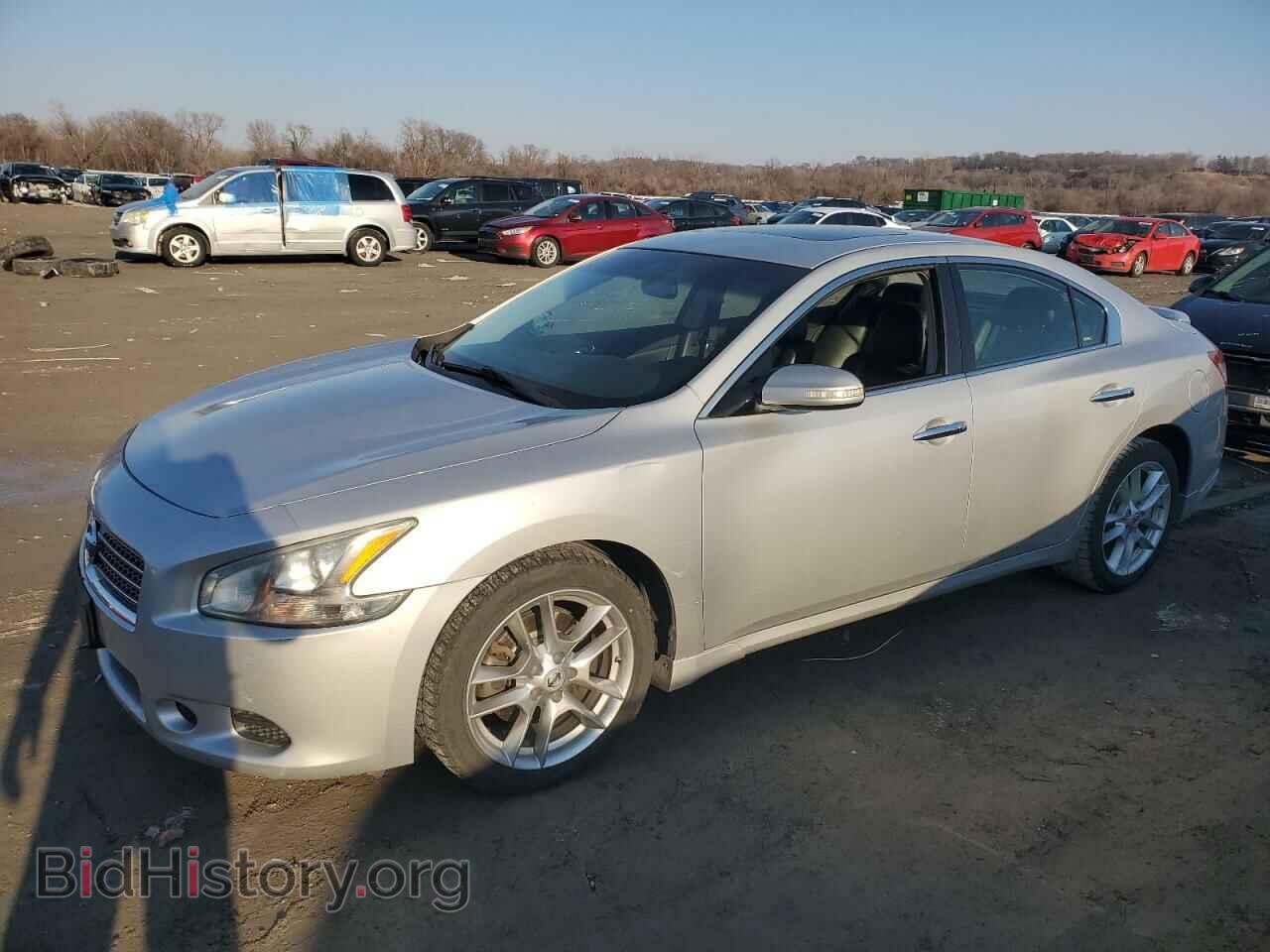 Фотография 1N4AA5AP9BC843969 - NISSAN MAXIMA 2011