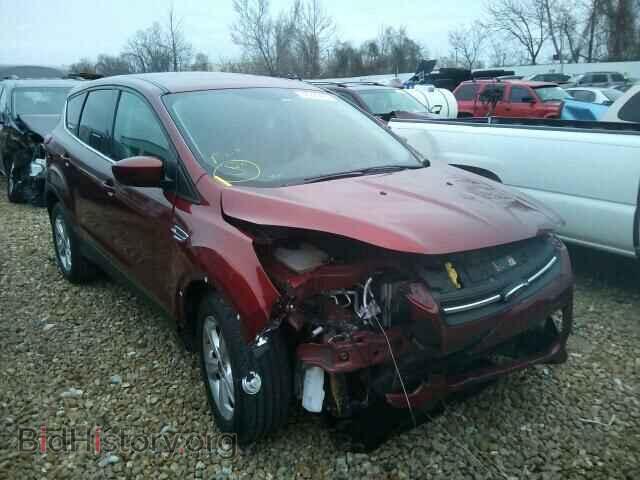Фотография 1FMCU0GX8EUC51834 - FORD ESCAPE 2014