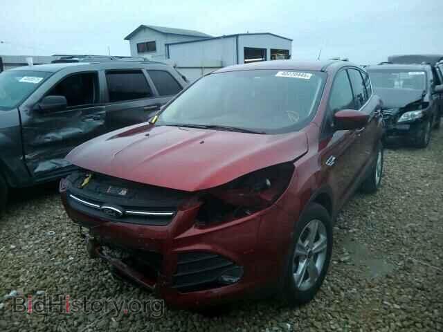 2014 FORD ESCAPE - VIN: 1FMCU0GX8EUC51834 - Фото 2