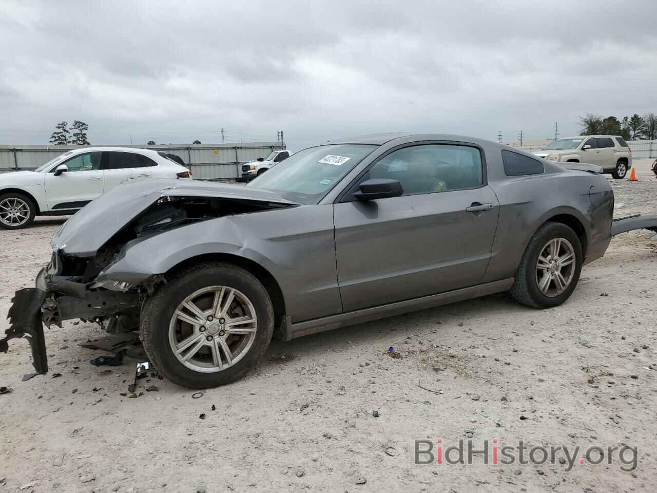 Photo 1ZVBP8AM6D5239241 - FORD MUSTANG 2013