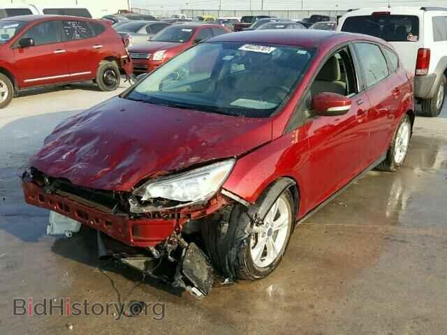 2013 FORD FOCUS - VIN: 1FADP3K24DL209989 - Photo 2
