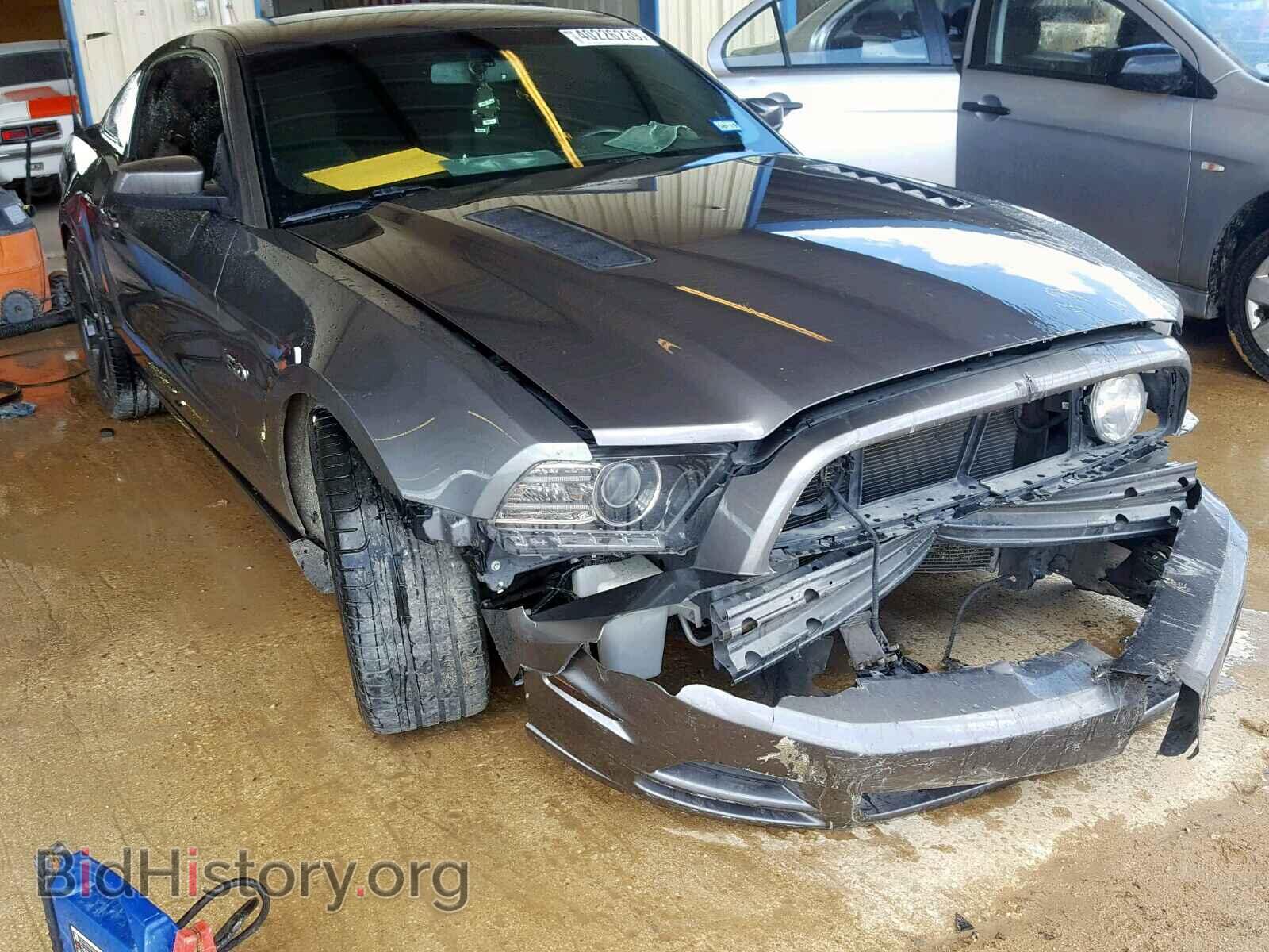Photo 1ZVBP8CF5D5278983 - FORD MUSTANG GT 2013