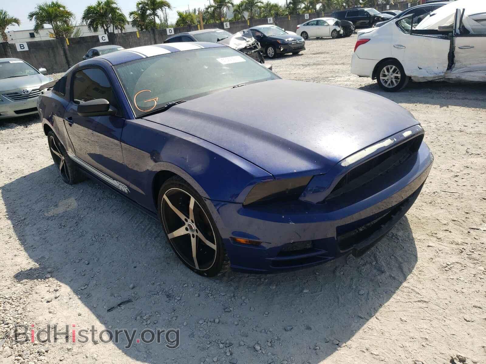 Photo 1ZVBP8AM9D5268510 - FORD MUSTANG 2013