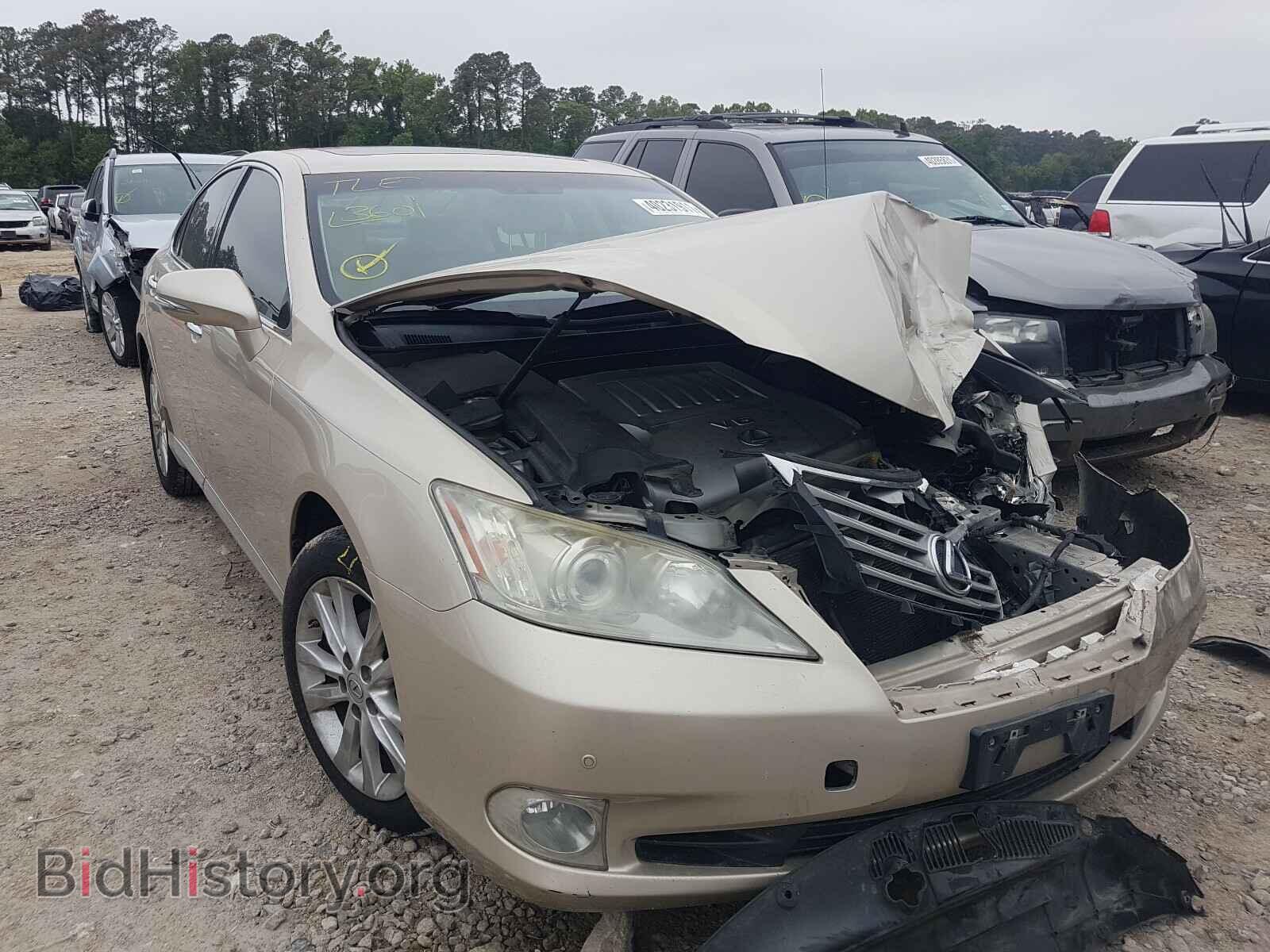 Photo JTHBK1EG1C2502425 - LEXUS ES350 2012