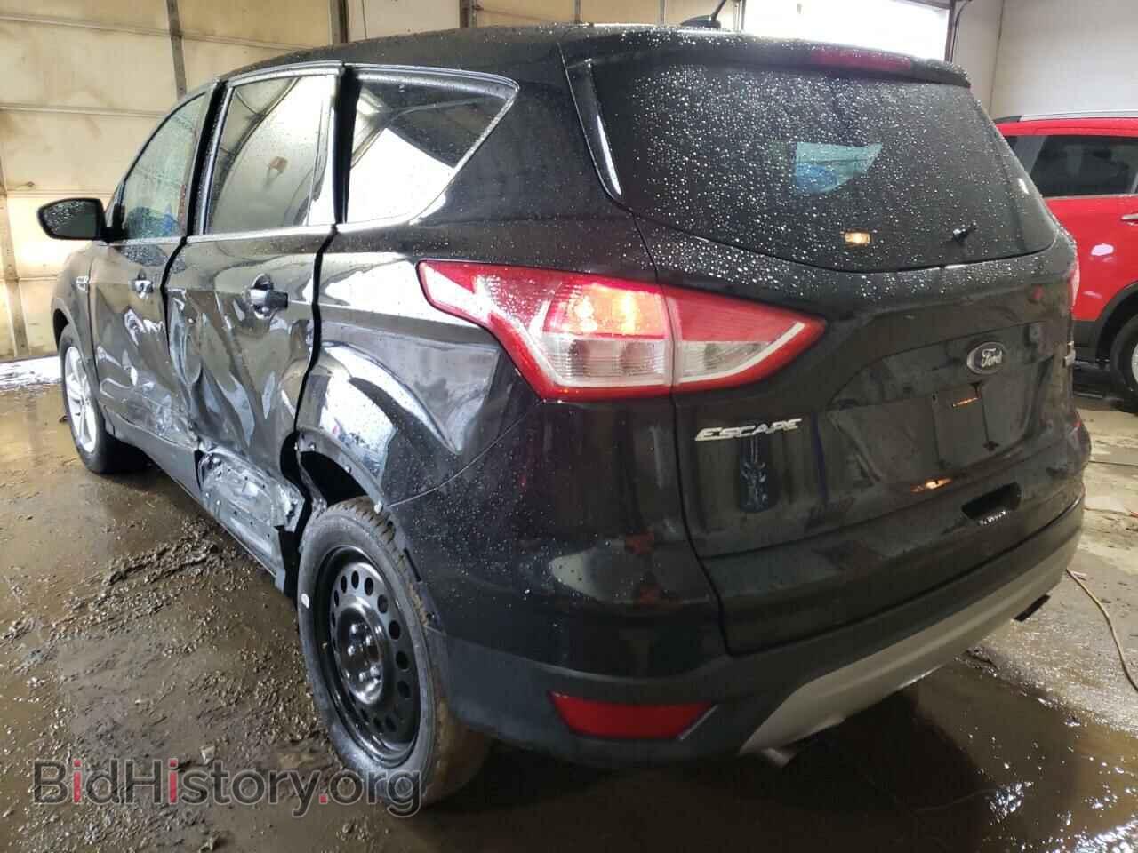 2014 FORD ESCAPE - VIN: 1FMCU0GX9EUB84404 - Фото 3