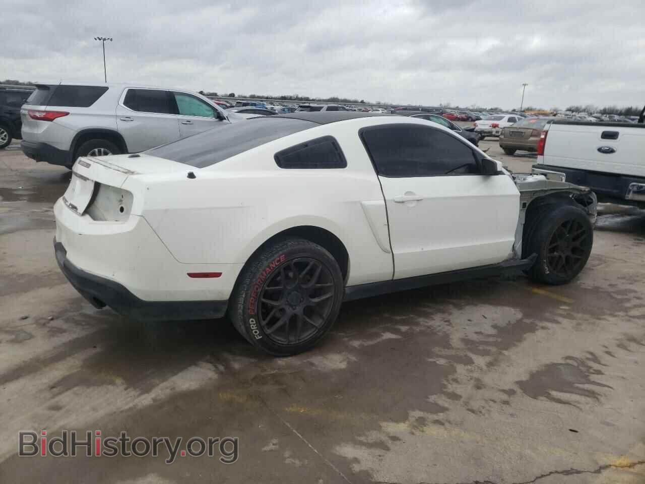 2010 FORD MUSTANG - VIN: 1ZVBP8CH5A5156556 - Фото 3