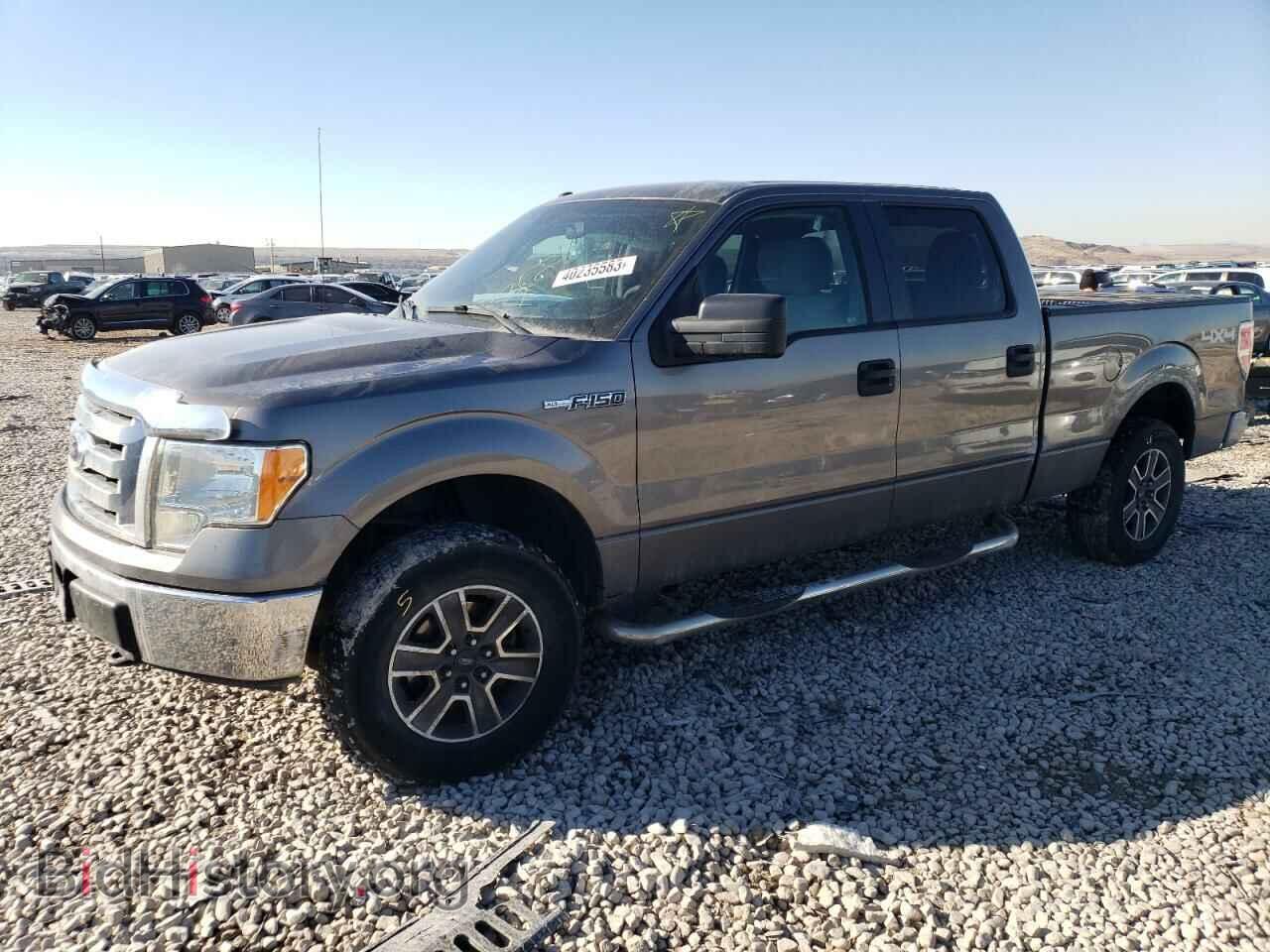 Фотография 1FTFW1EF1CFB18751 - FORD F-150 2012