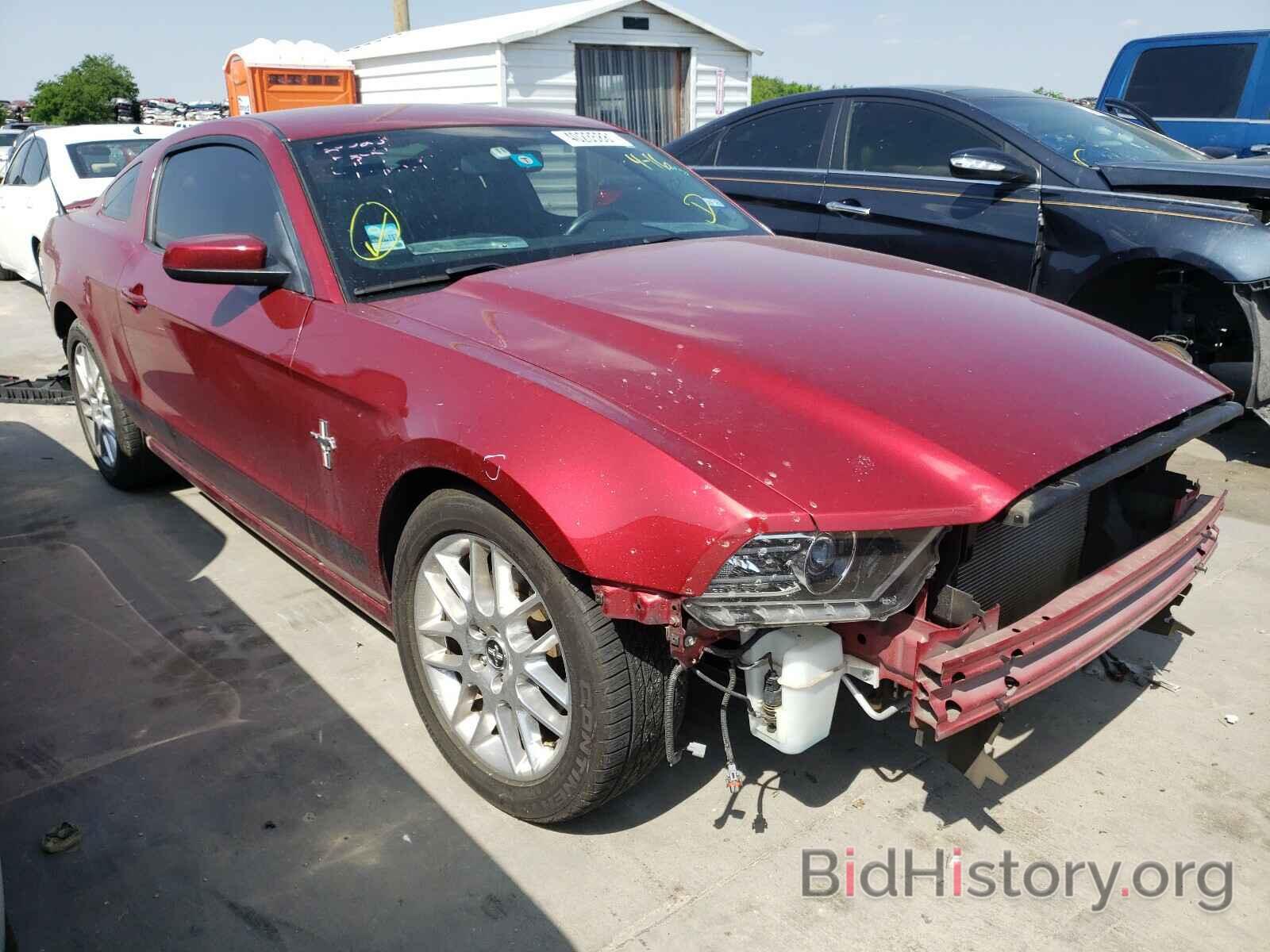 Photo 1ZVBP8AM7E5331881 - FORD MUSTANG 2014