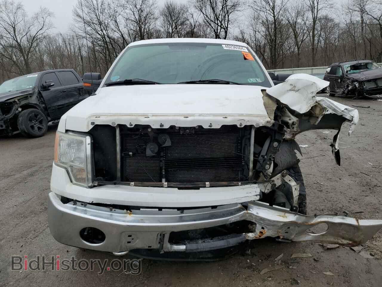 2012 FORD F-150 - VIN: 1FTFW1EFXCFB13015 - Фото 5