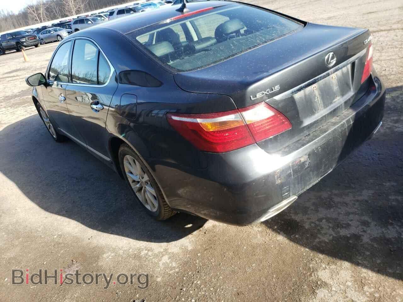 2010 LEXUS LS460 - VIN: JTHCL5EF2A5008053 - Фото 2