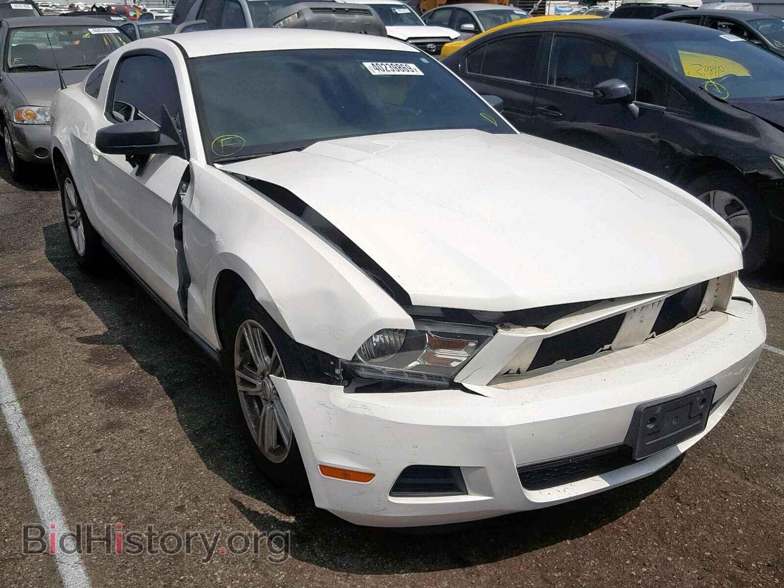 Photo 1ZVBP8AM9C5239250 - FORD MUSTANG 2012