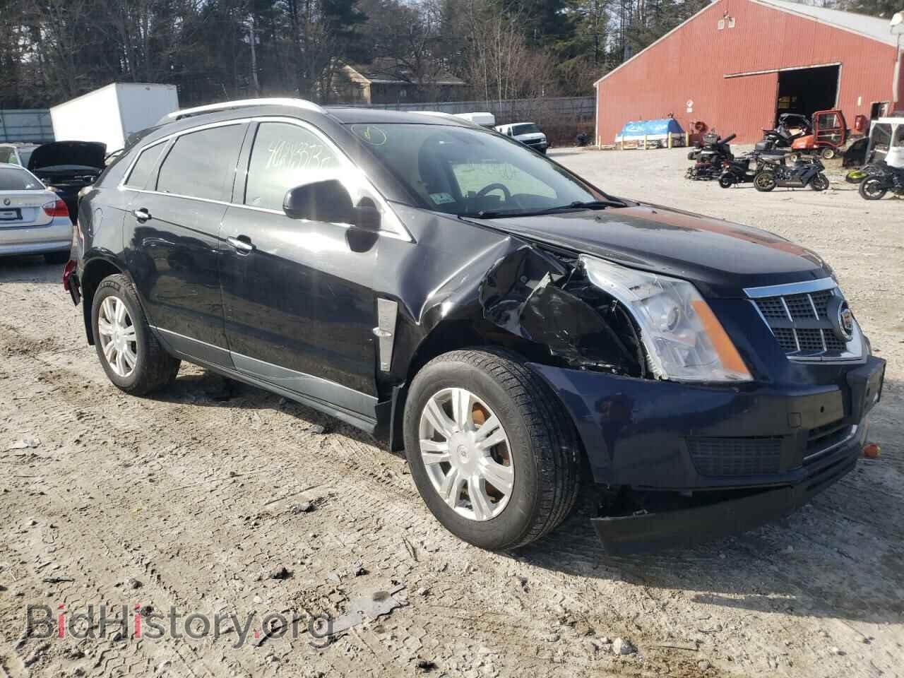 2010 CADILLAC SRX - VIN: 3GYFNDEY9AS603390 - Фото 4