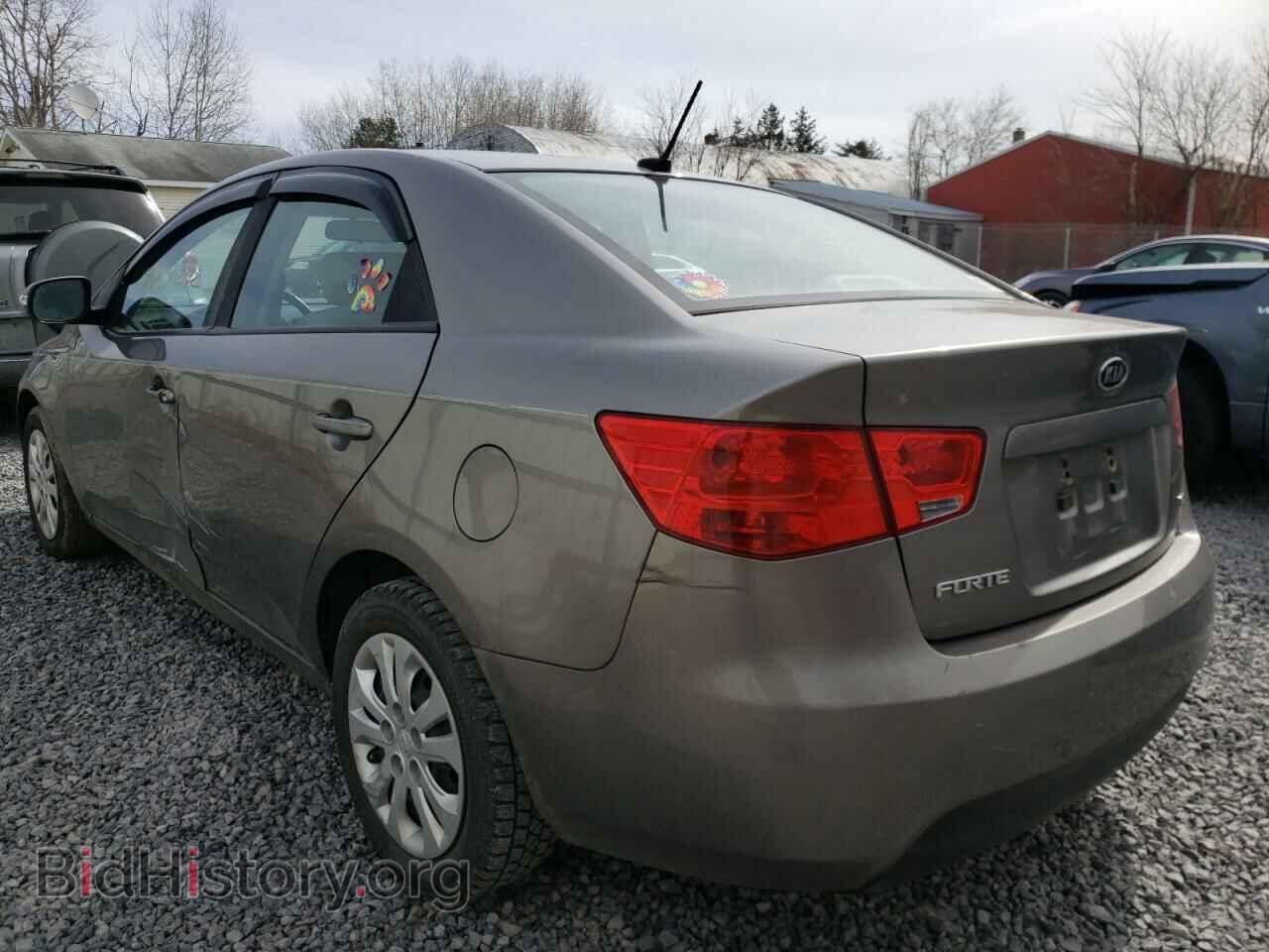 2010 KIA FORTE - VIN: KNAFU4A26A5301721 - Фото 3