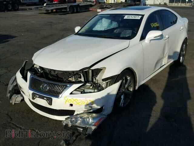 2009 LEXUS IS 250 - VIN: JTHBK262295086742 - Фото 2