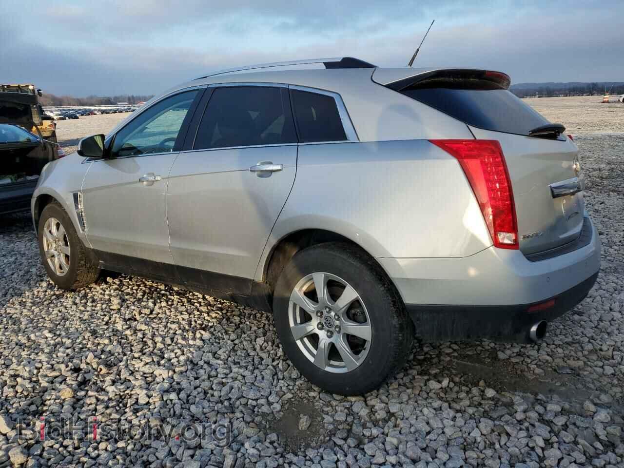 2011 CADILLAC SRX - VIN: 3GYFNDEY1BS519968 - Фото 2