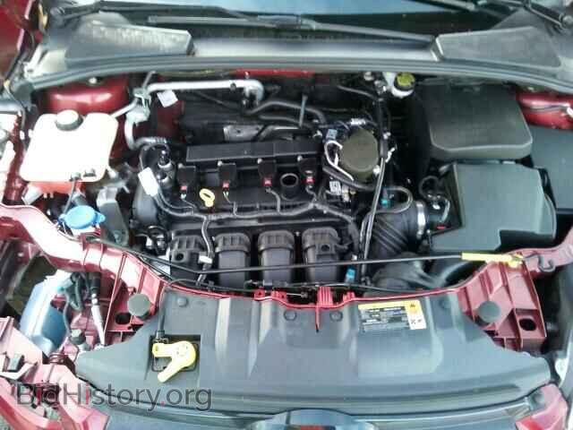 2013 FORD FOCUS - VIN: 1FADP3N22DL305342 - Фото 7