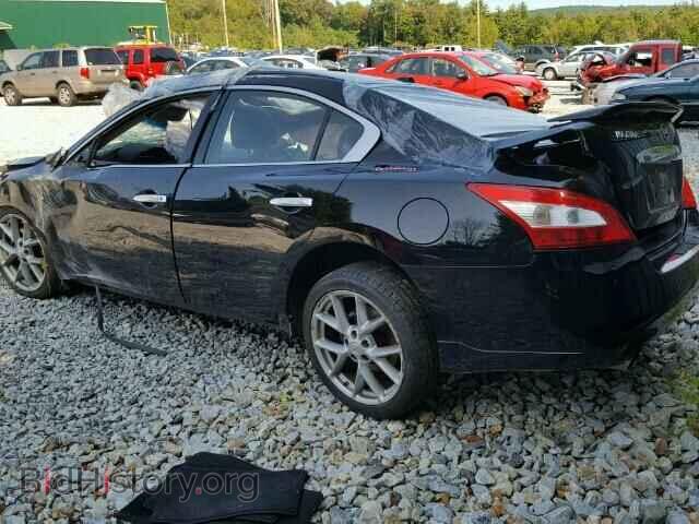 2010 NISSAN MAXIMA - VIN: 1N4AA5AP7AC813819 - Фото 3