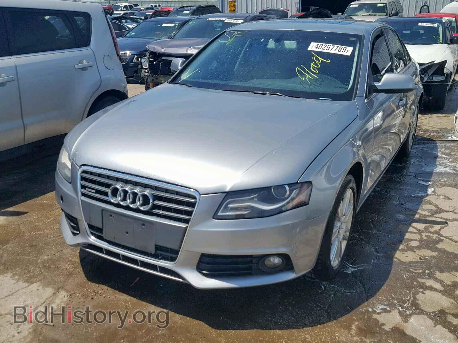 2010 AUDI A4 - VIN: WAUFFAFL9AN016974 - Фото 2