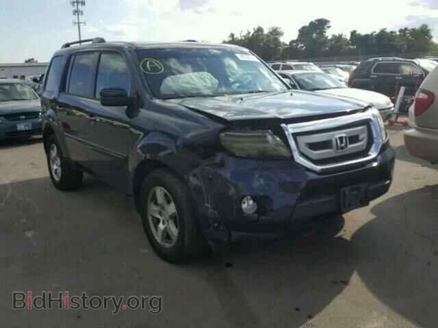 Фотография 5FNYF4H53BB002905 - HONDA PILOT 2011