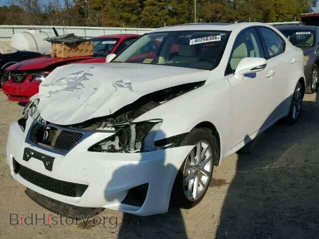 2011 LEXUS IS250 - VIN: JTHCF5C21B5050769 - Фото 2