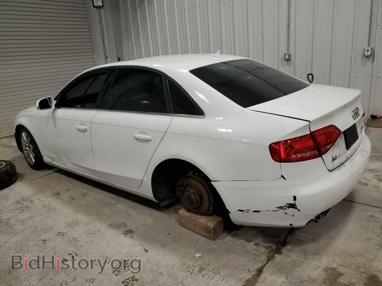 2010 AUDI A4 - VIN: WAUHFAFL6AN021316 - Photo 2